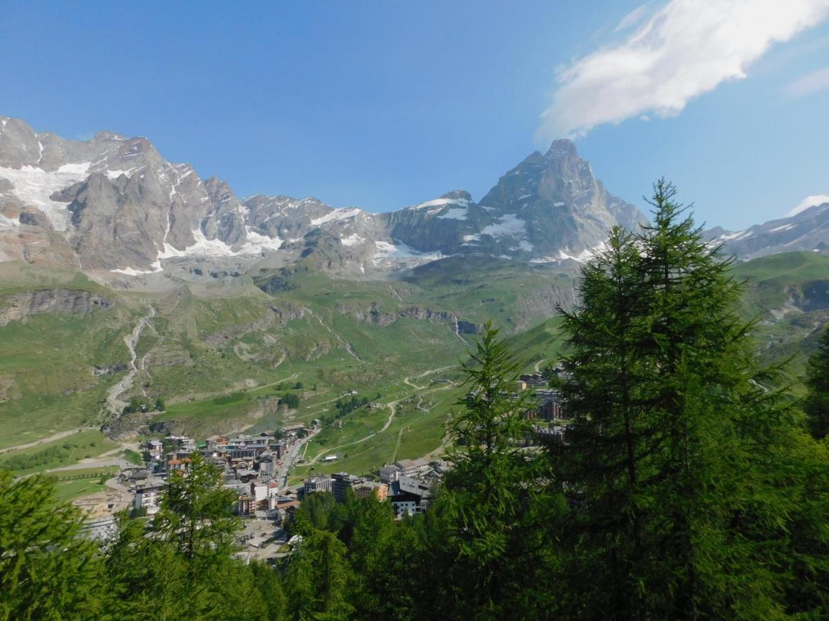 Il Gioiello Di Cervinia Daire Breuil-Cervinia Dış mekan fotoğraf